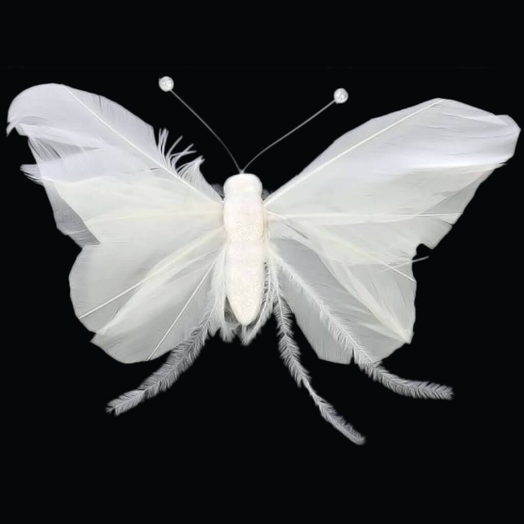 Feather Butterfly with Fluffy on Clip 6.5in White