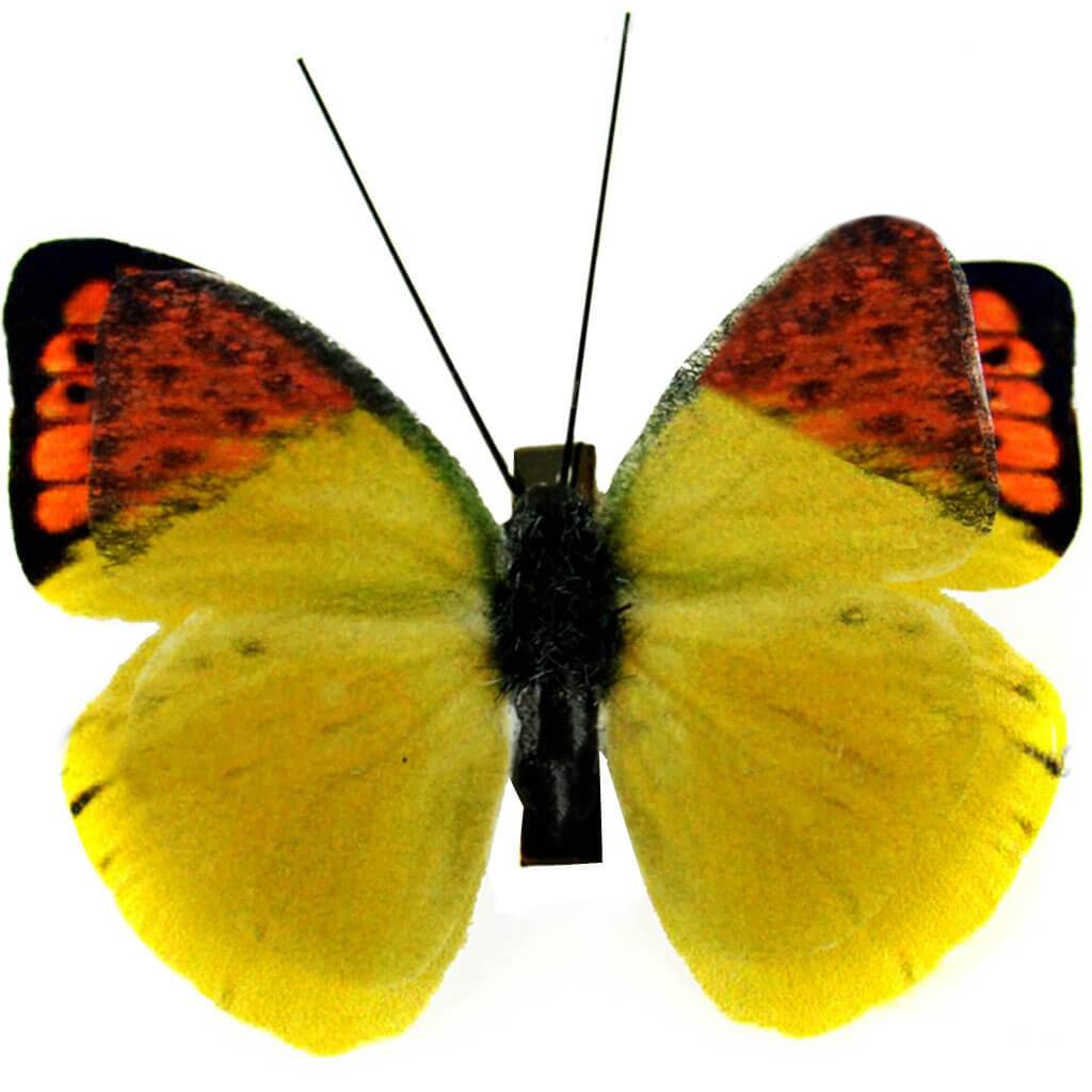 Double Layer Fabric Butterfly with Clip 2.75in Orange and Yellow