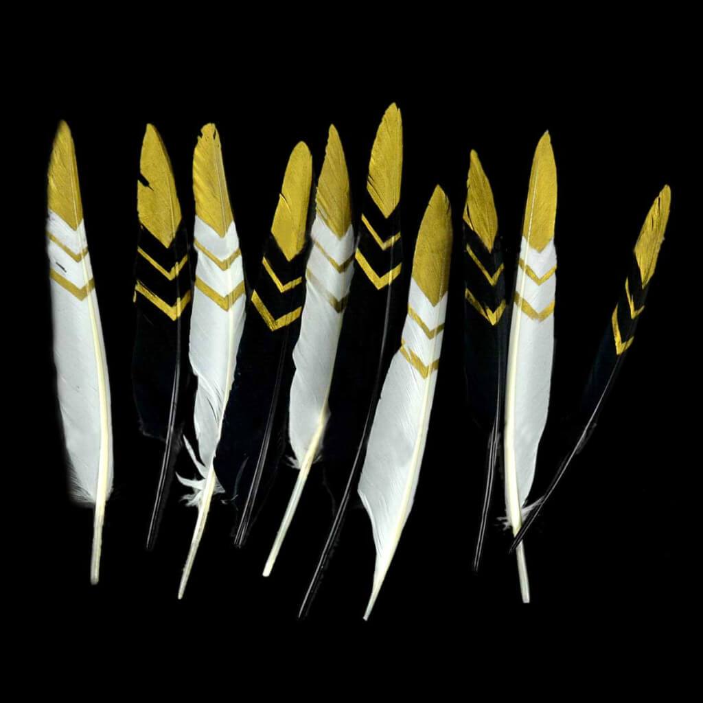 Turkey Quills with Gold Print 7-9in Black and White