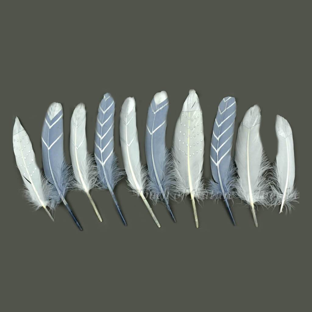 Turkey Round Feather Assortment with Silver Print 6-8in White and Gray