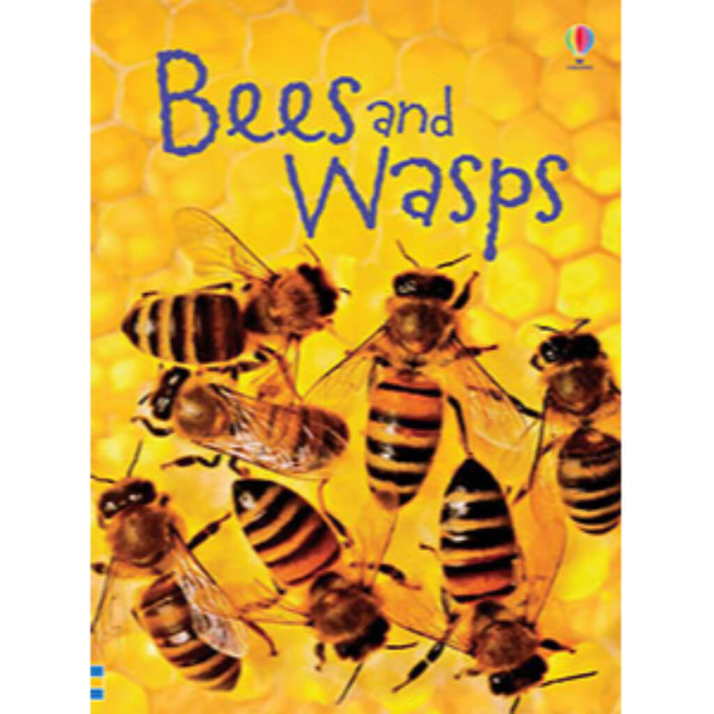 Bees and Wasps Book