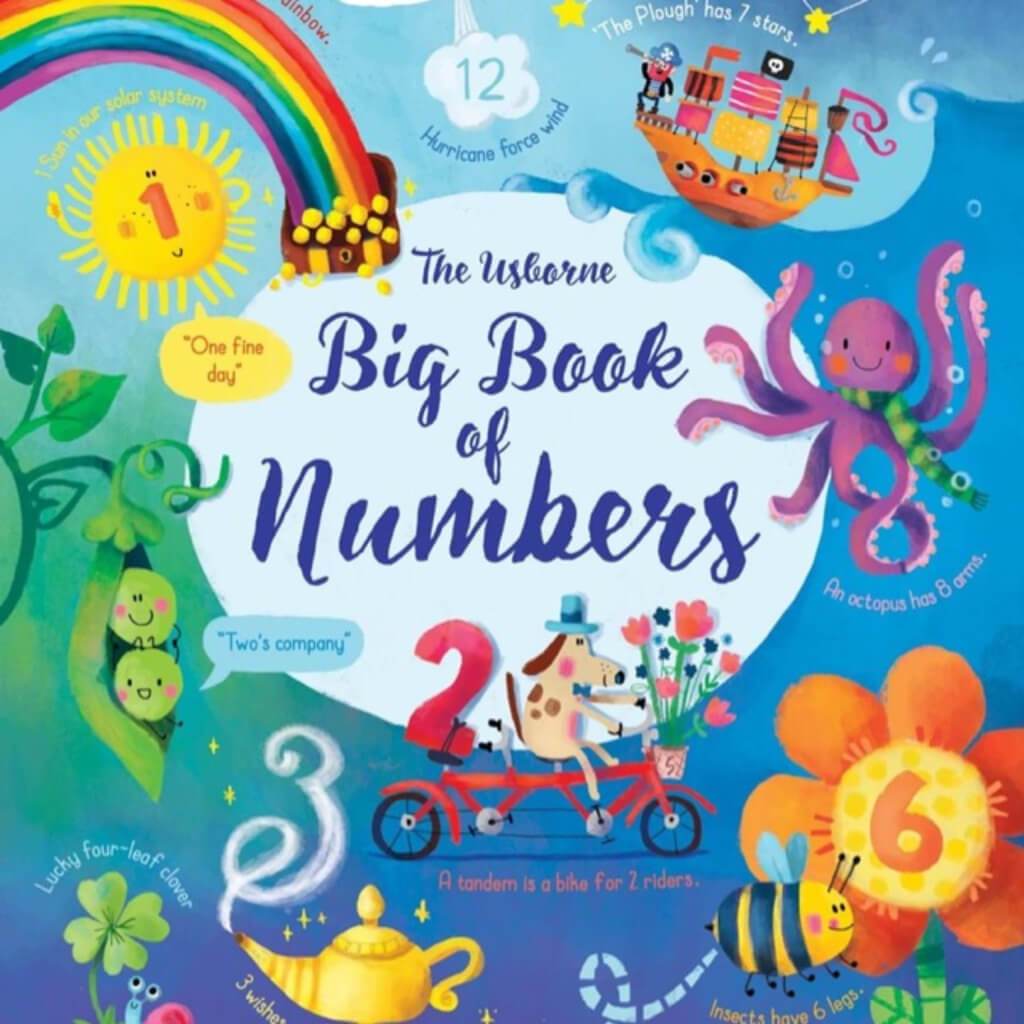 Big Book Of Numbers