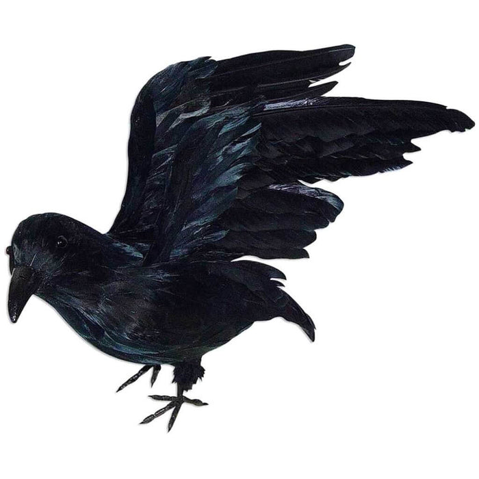 Standing Crow with Open Wings & Real Feathers 18in