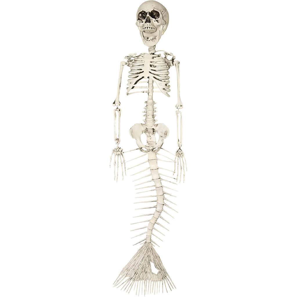 Mermaid Skeleton