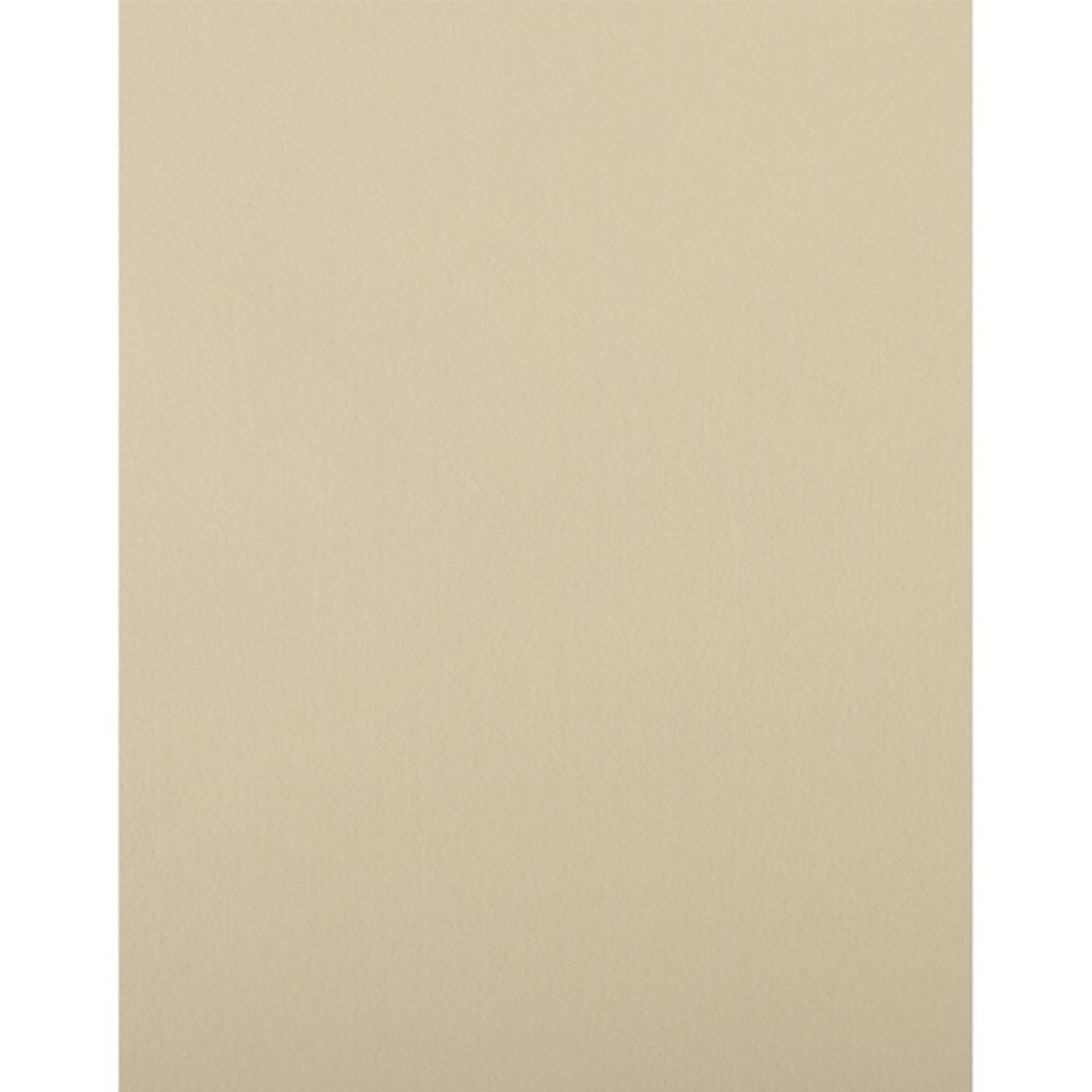 Felt 9 x 12 Beige