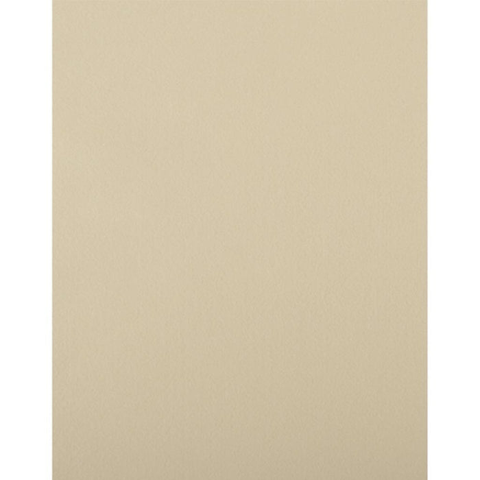 Felt 9 x 12 Beige
