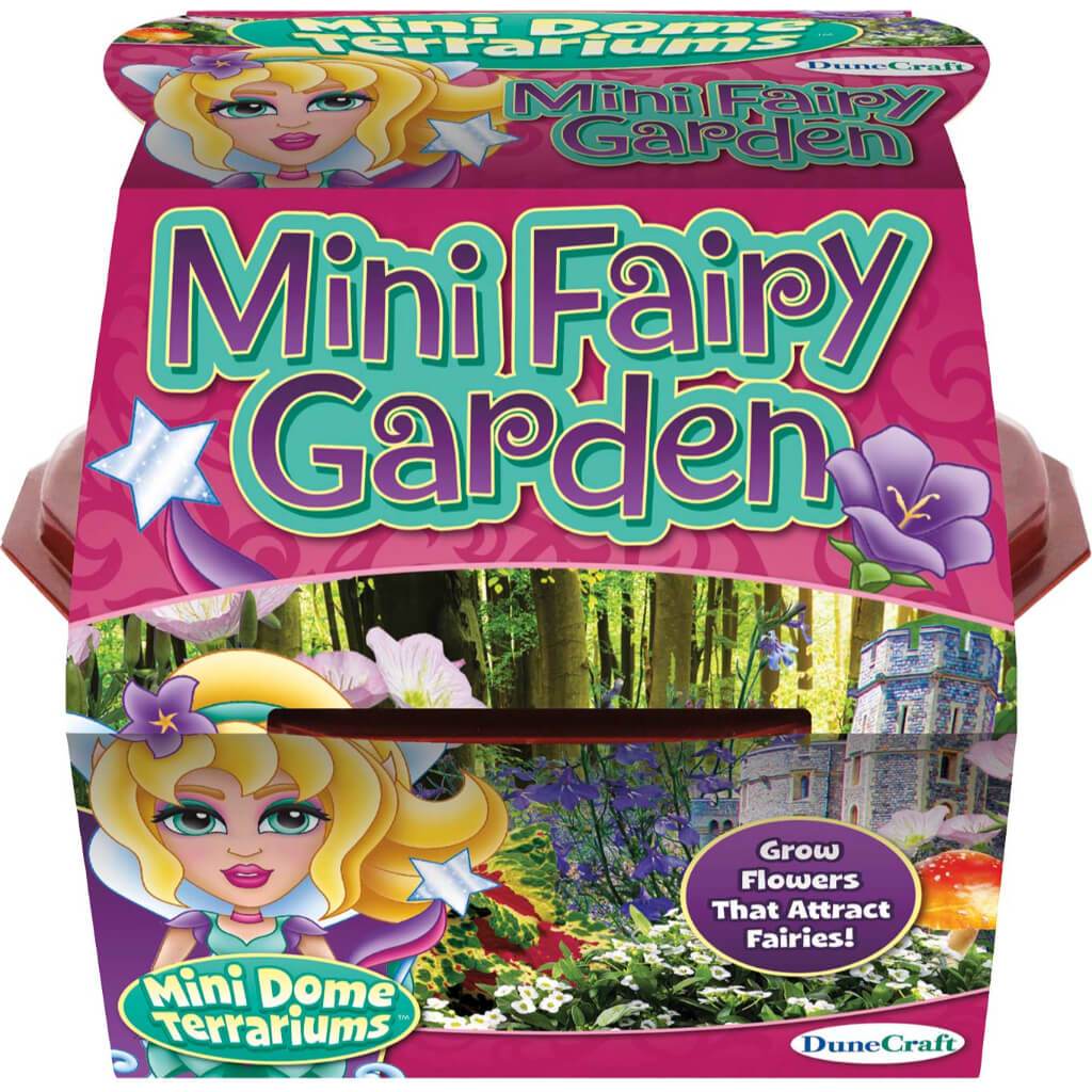 Mini Fairy Garden Mini Dome Terrarium 