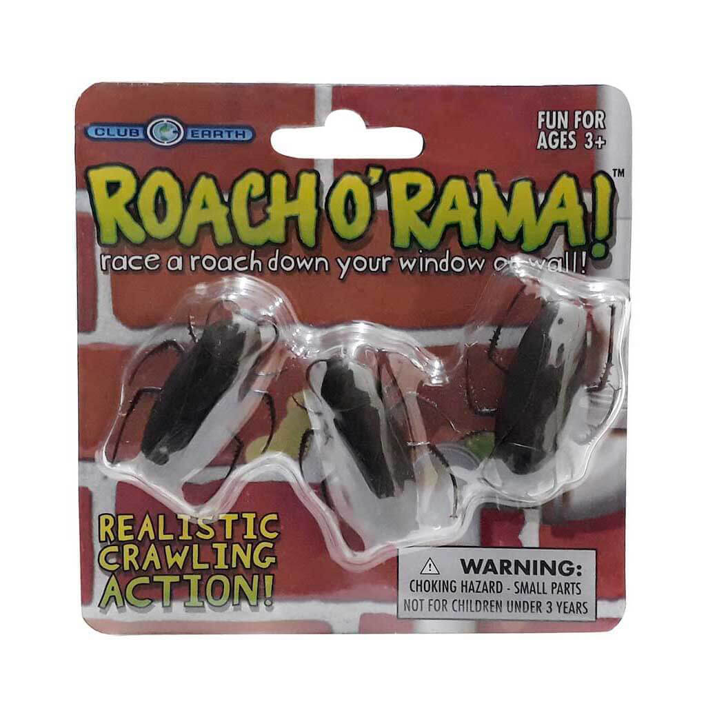 Roach O Rama Cockroach Racing Crawlers