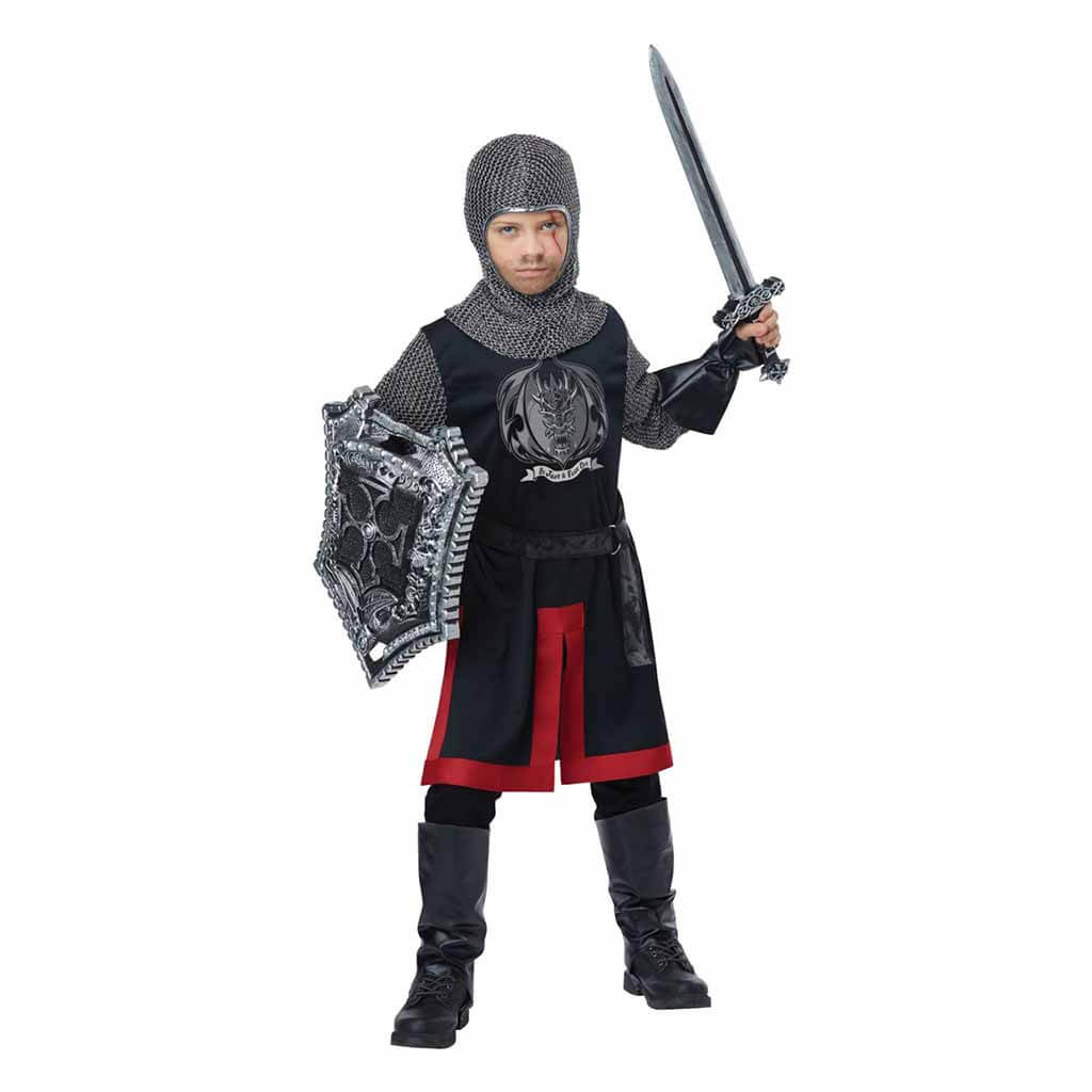 Dragon Knight Costume