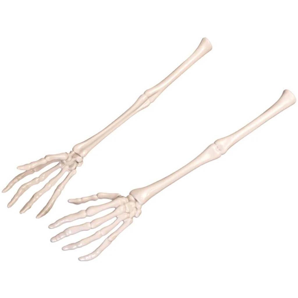 Skeleton Serving Hands