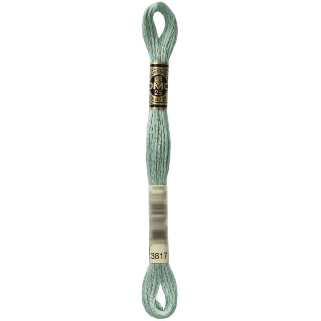 Dmc Floss Light Celadon Green Green 