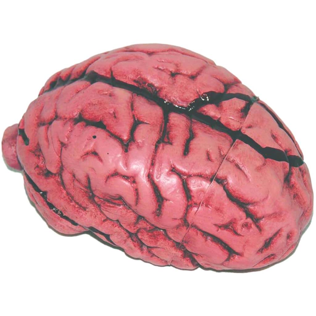 Deluxe Brain