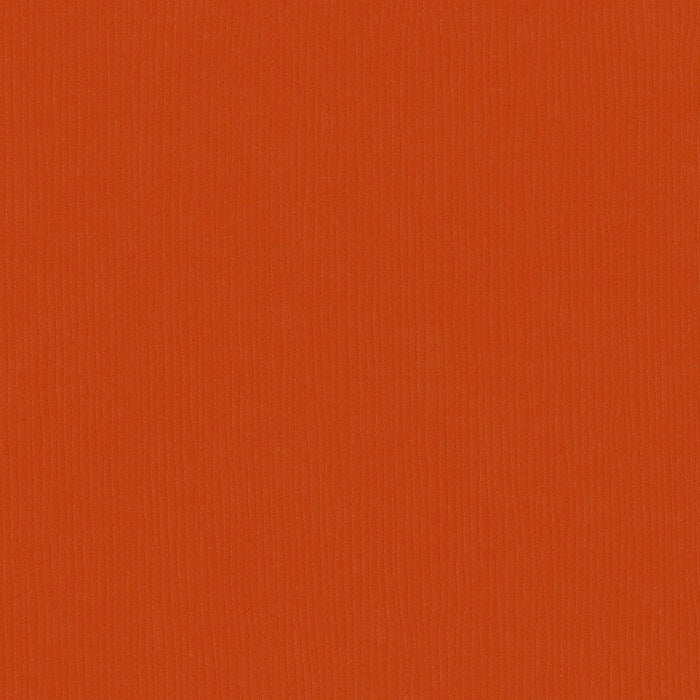 Cardstock Fourz 12in x 12in Pumkin Patch 