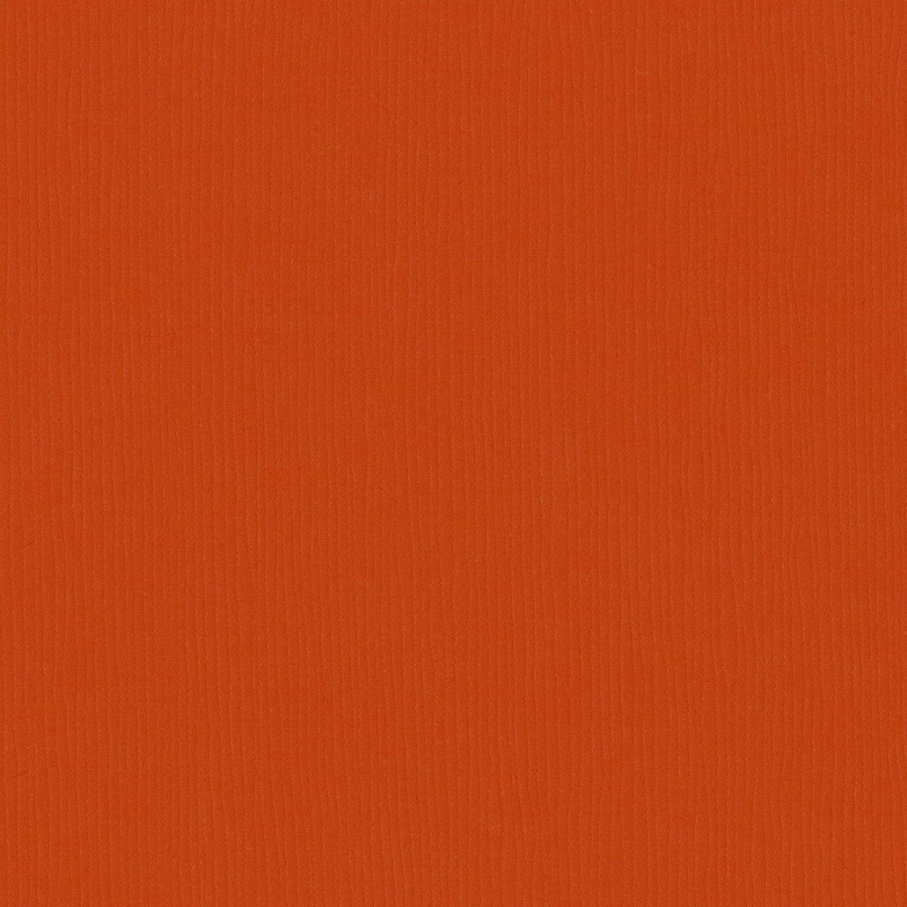 Cardstock Fourz 12in x 12in Pumkin Patch 