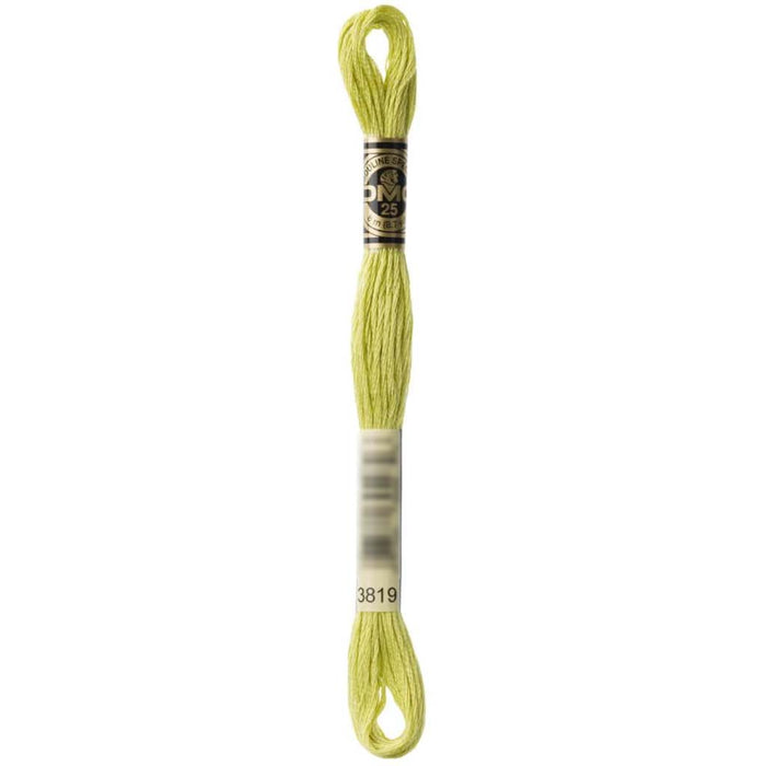 Dmc Floss Light Moss Green Green 