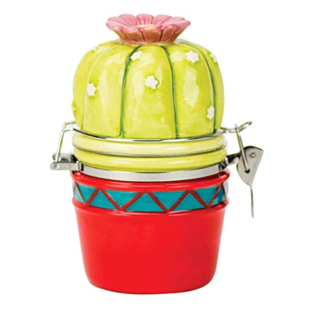 Potted Cactus Hinged Jar