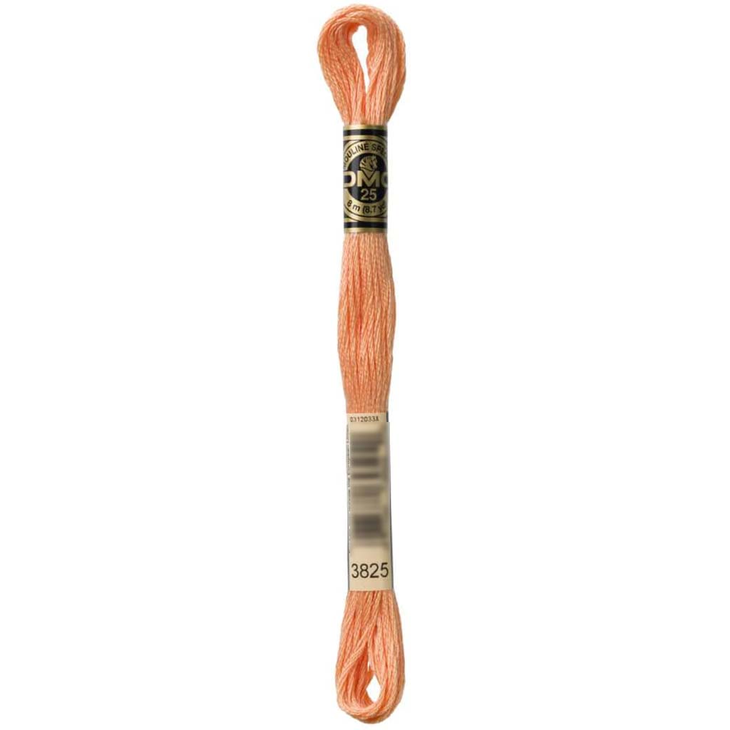 Dmc Floss Pale Pumpkin Pumpkin 
