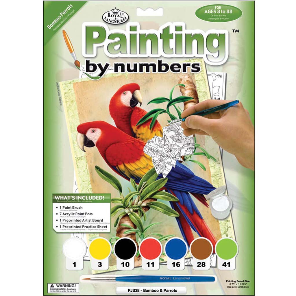 Junior Small Paint By Number Kit Bamboo &amp; Parrots