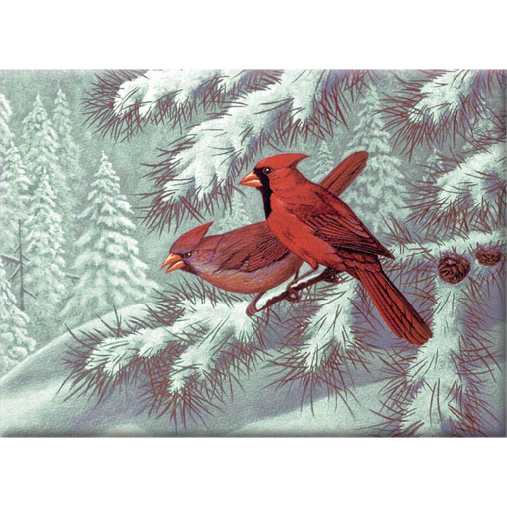 Painting By Numbers Adult Large Cardinals