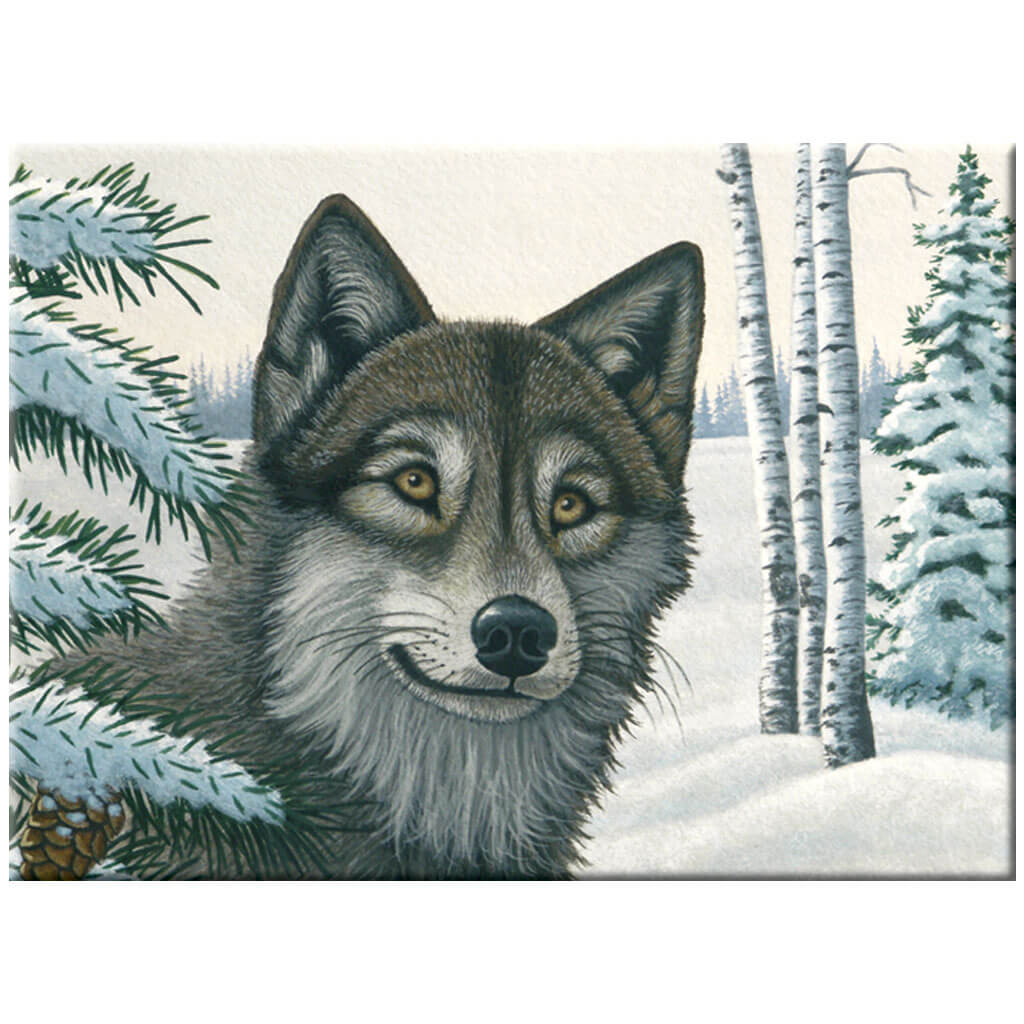 Paint By Numbers Junior Large Snow Wolf