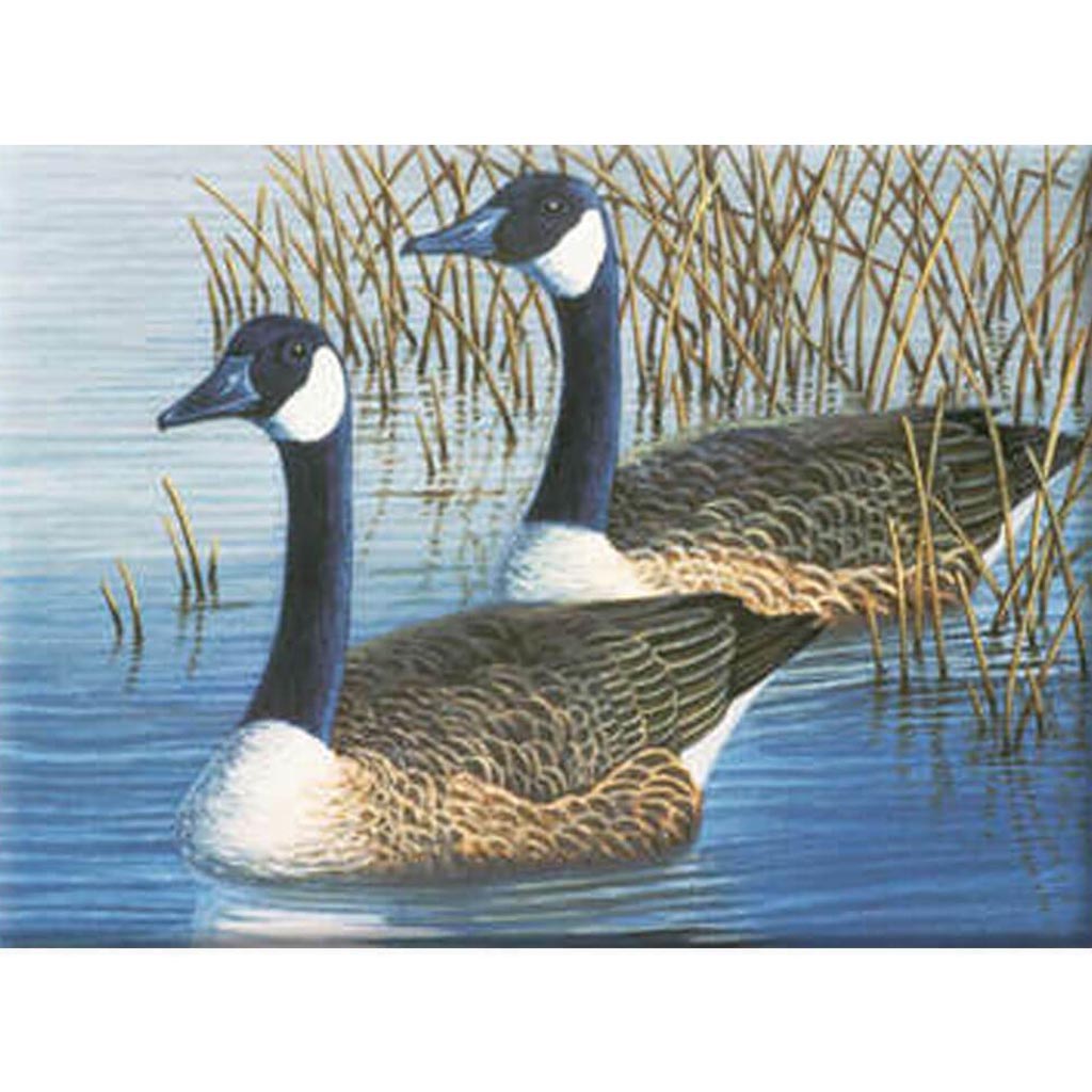 Painting By Numbers Adult Large Geese