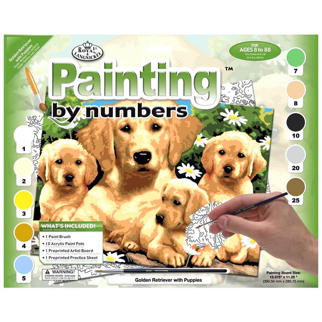 Painting By Numbers Junior Large Golden Retriever