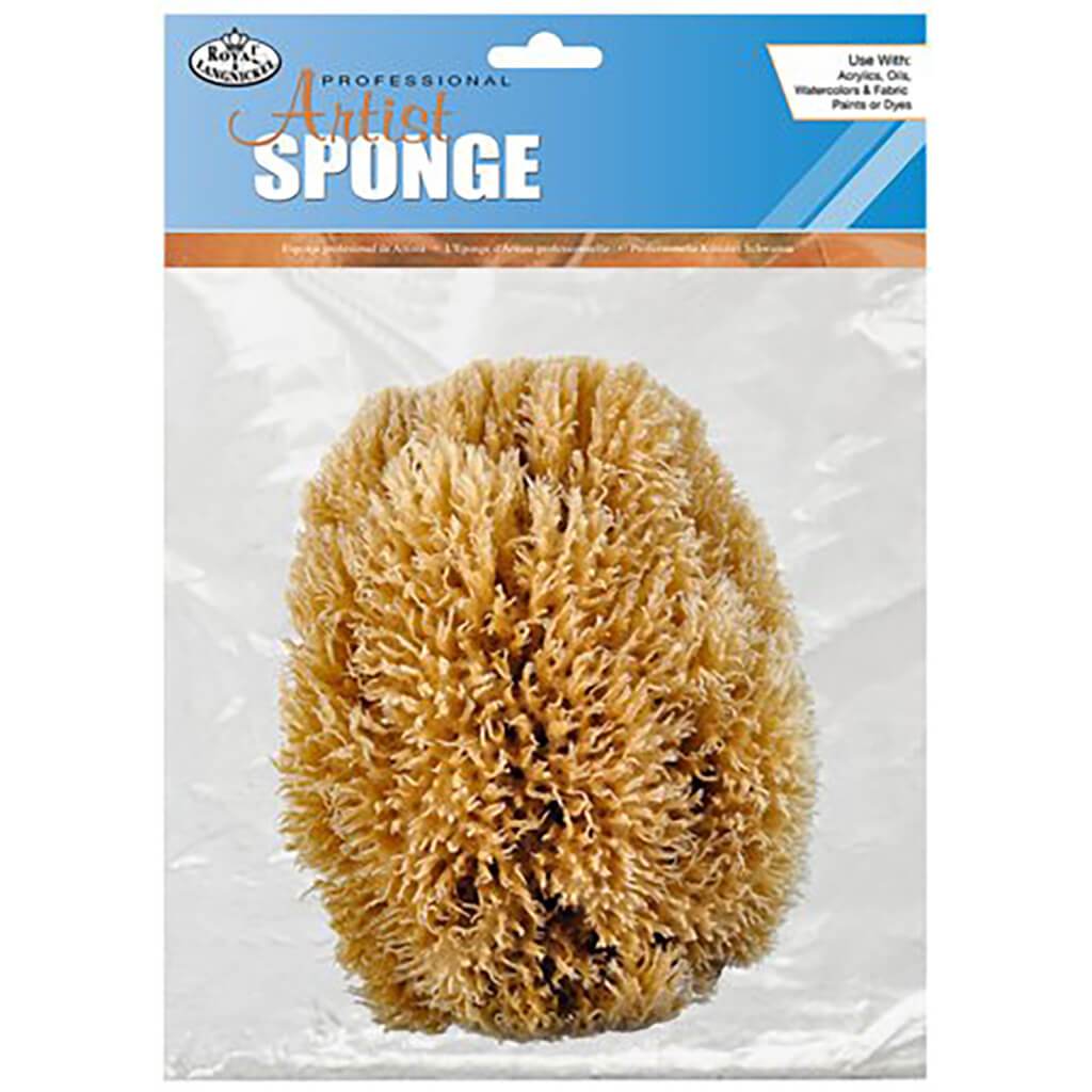 Caribbean Sponge