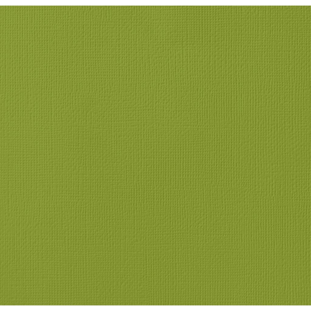 80lb Textured Cardstock 12in x 12in Leaf
