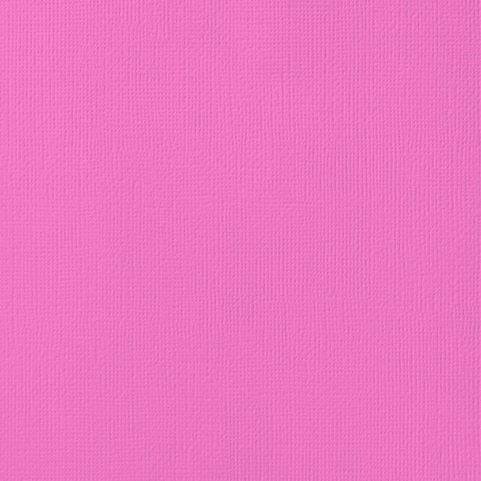 80lb Textured Cardstock 12in x 12in Lipgloss