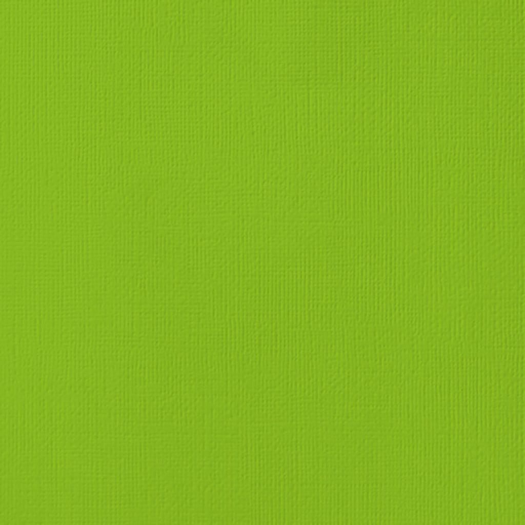 Cardstock Textured 12in x 12in Cricket