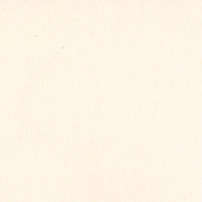 Bazzill Card Shoppe Heavyweight Pale Rose Cardstock 12in x 12in