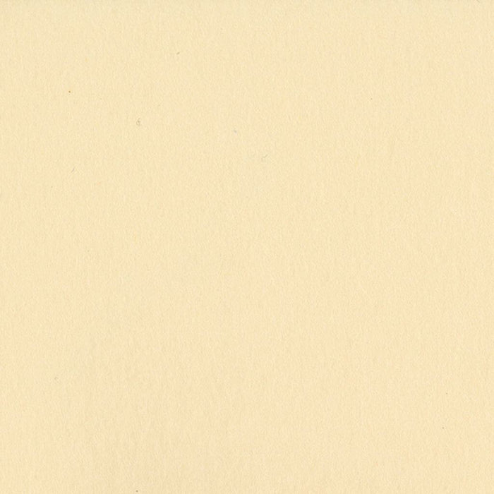 Cardstock Bazzill Smoothies 12in x 12in- Pigment