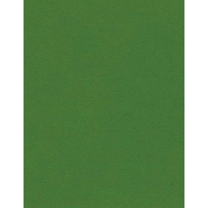 Cardstock Bazzill Card Shoppe Heavyweight 8.5in x 11in- Gumdrop