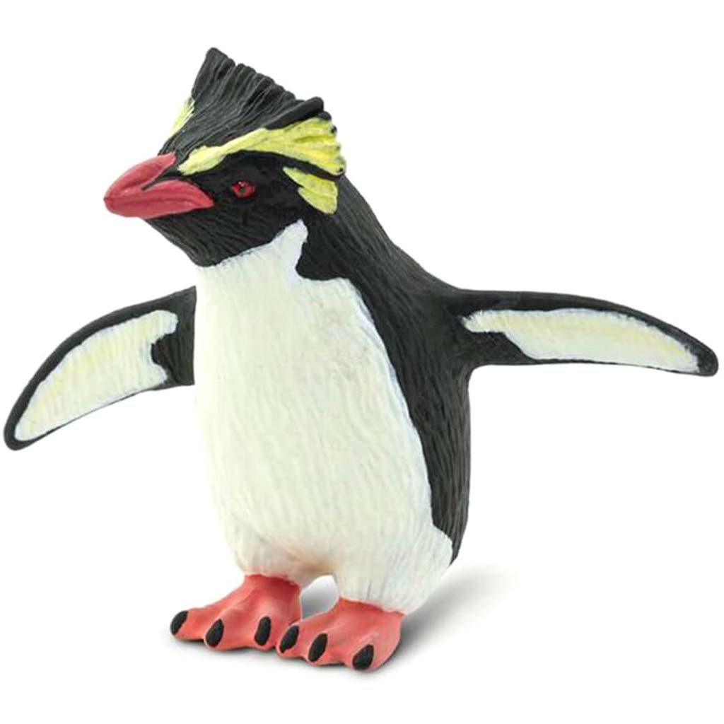 Rockhopper Penguin