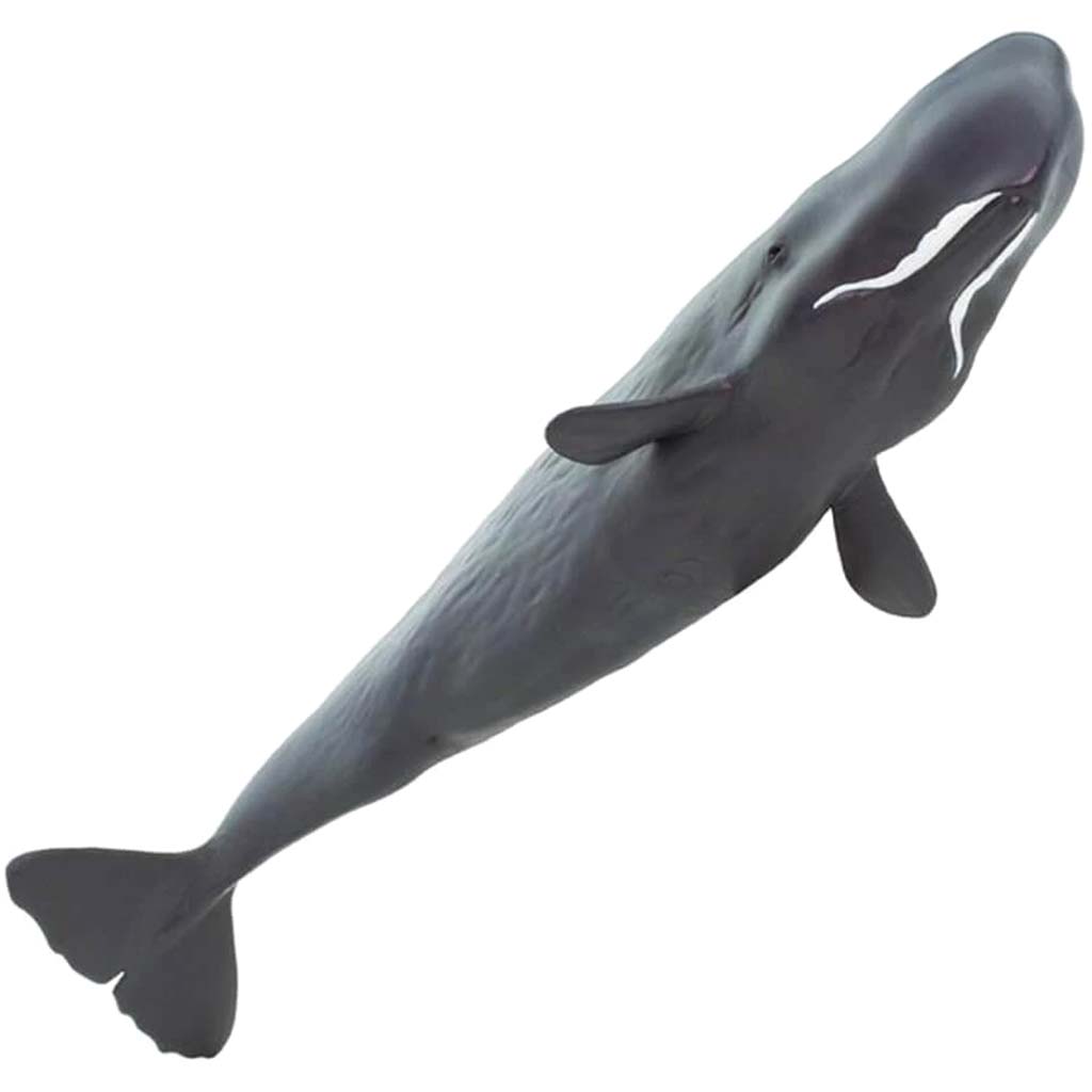 Sperm Whale