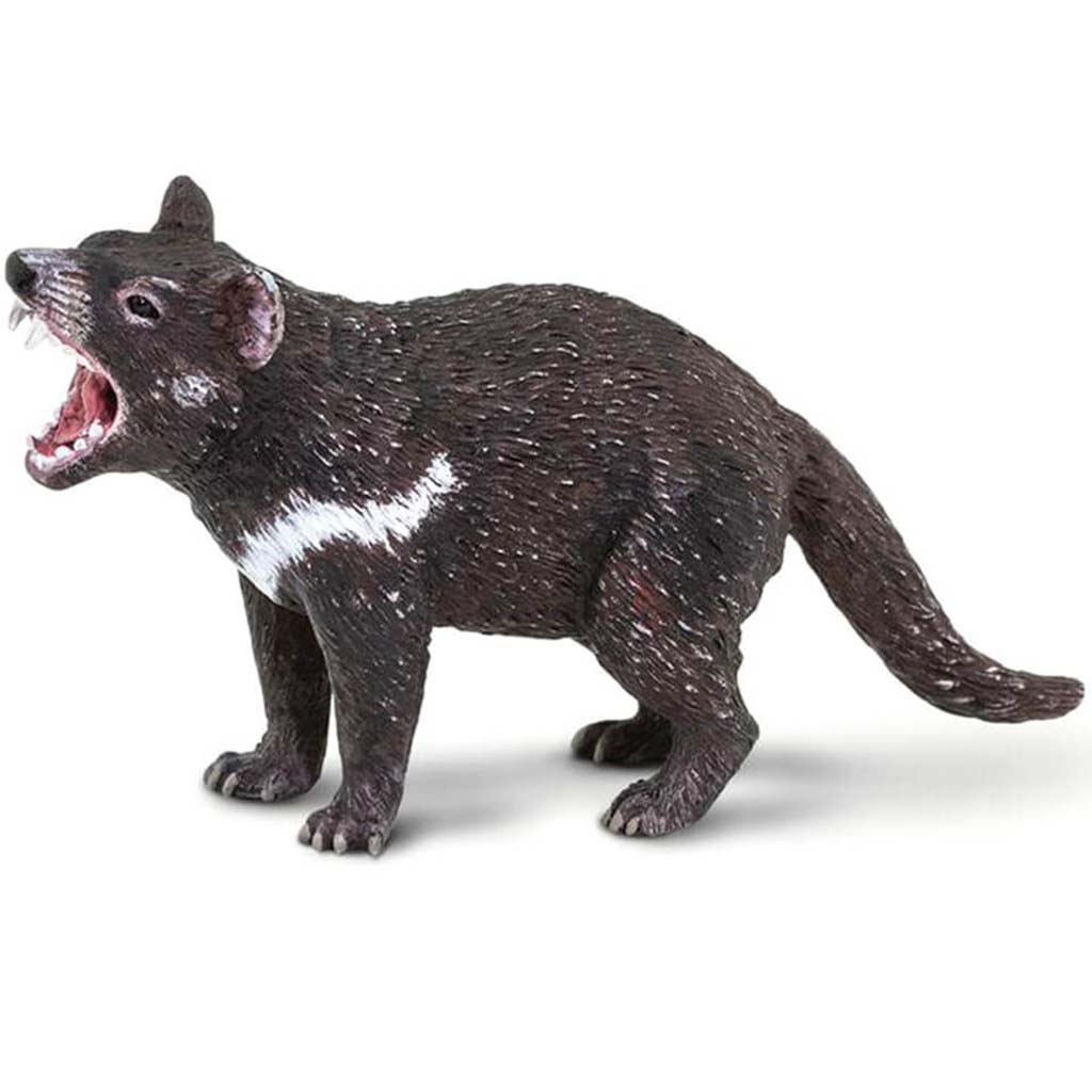 Tasmanian Devil