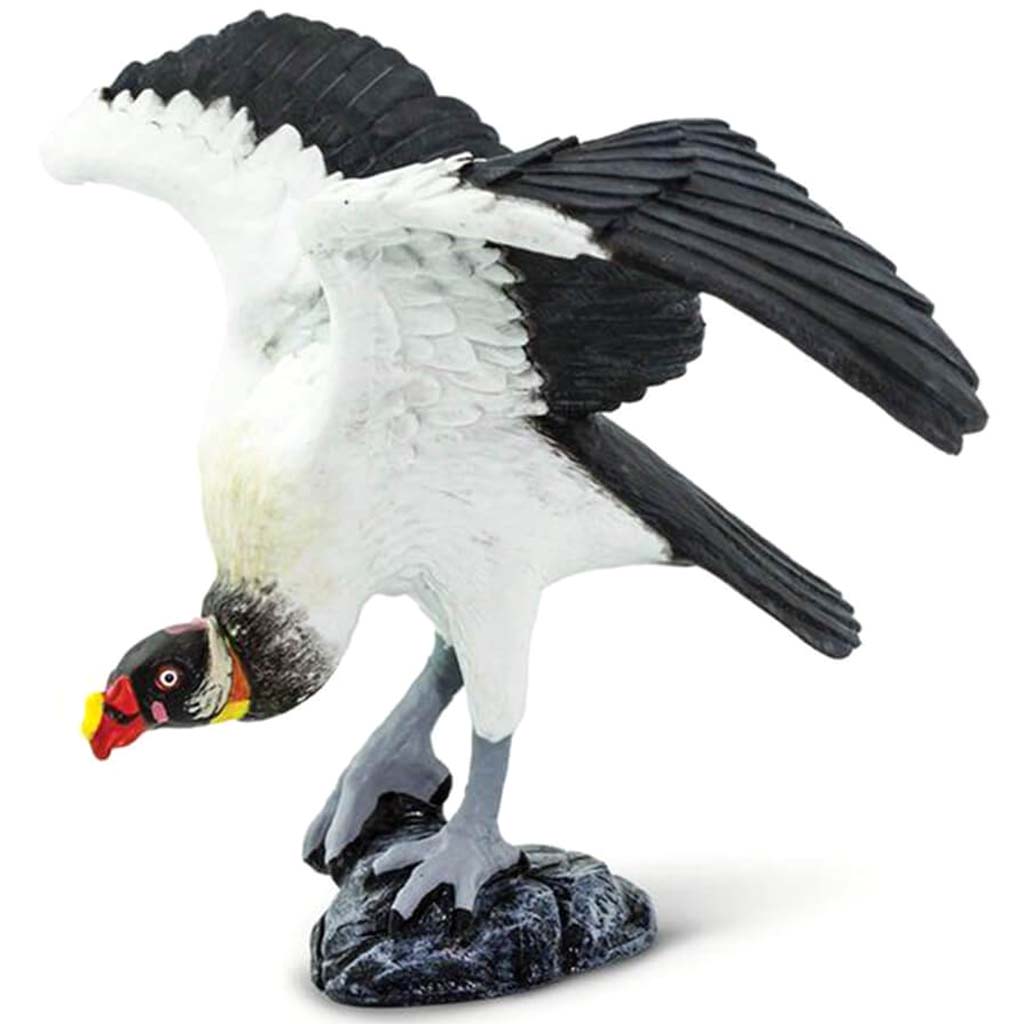 King Vulture