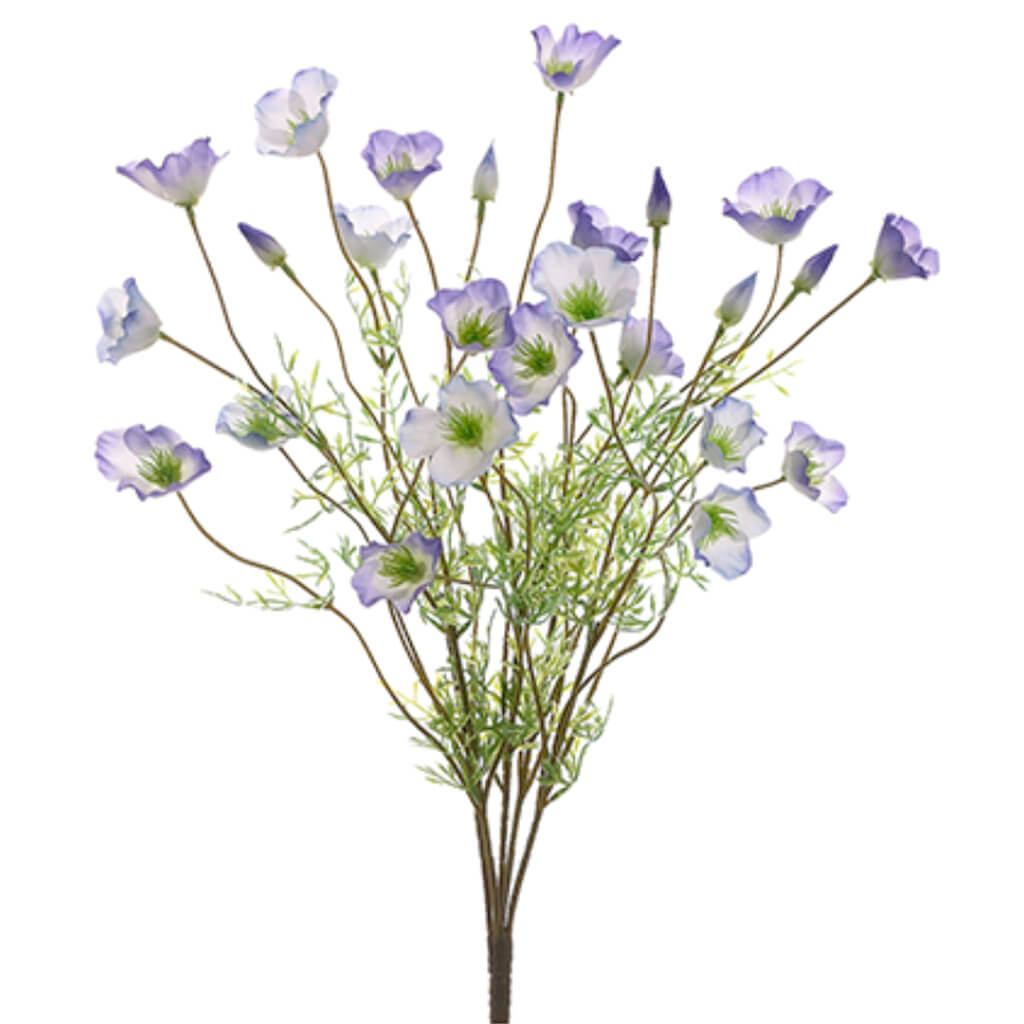 California Poppy Bush x5 Purple Cream 22in