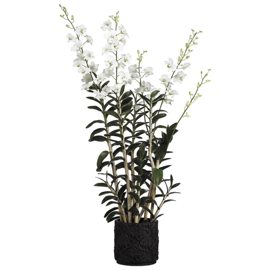 Dendrobidium Orchid Plant In Fiber Cement Planter Green 60inH x 19inW x 28inL