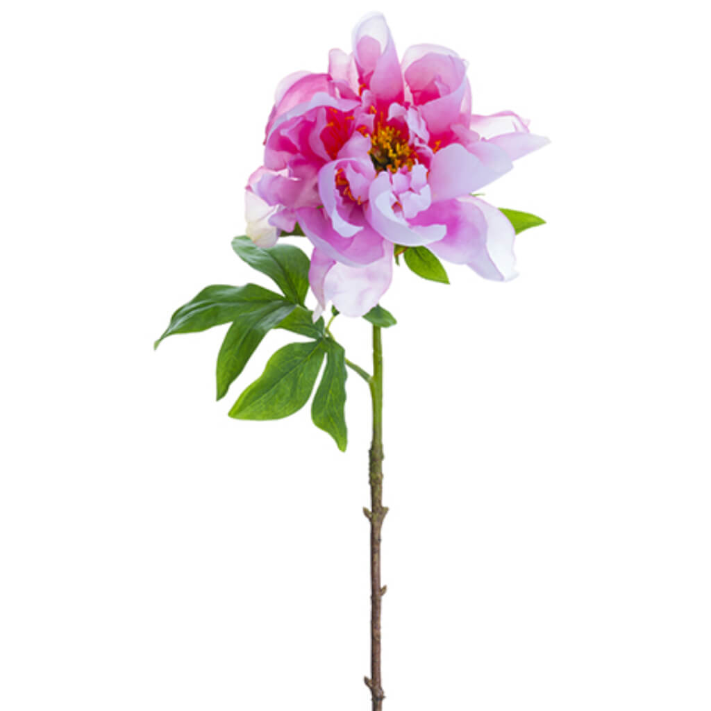 Peony Spray 23in Fuchsia Pink