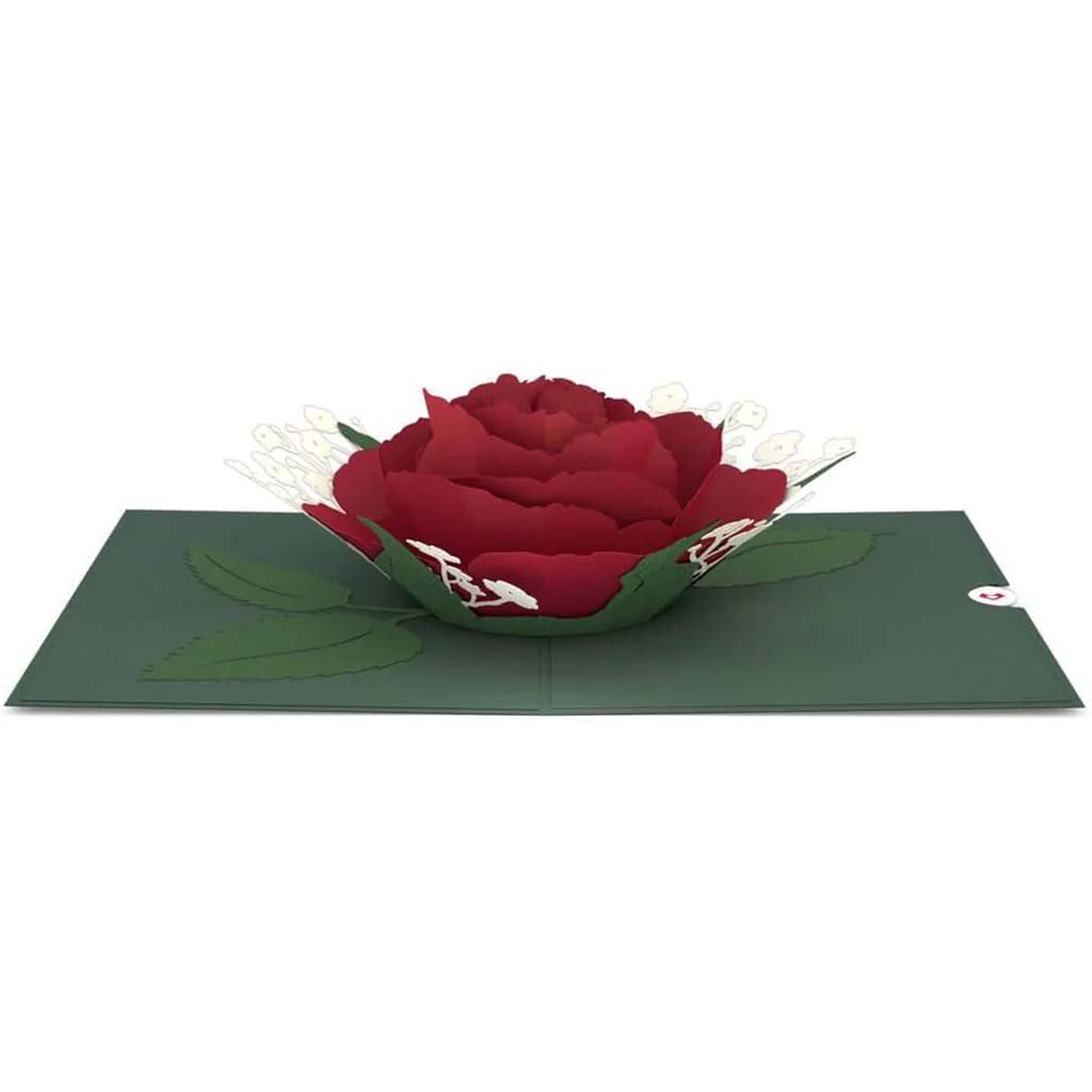 Beautiful Red Rose Bloom Pop Up 3D Card