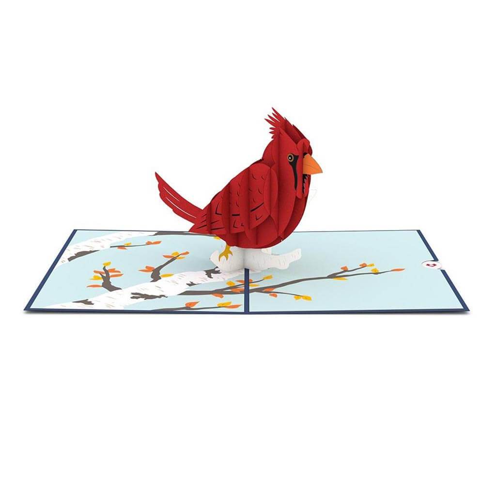 Cardinal Pop Up 3D Card