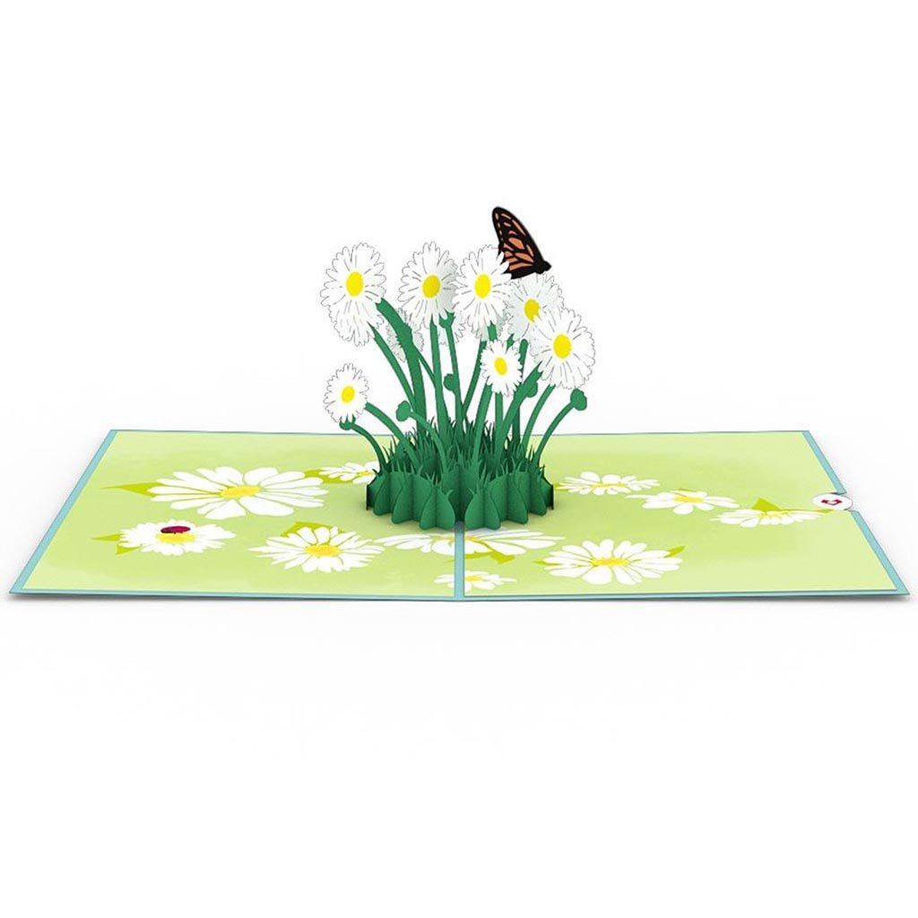 Enhanced Daisy Patch Pop Up 3D Card