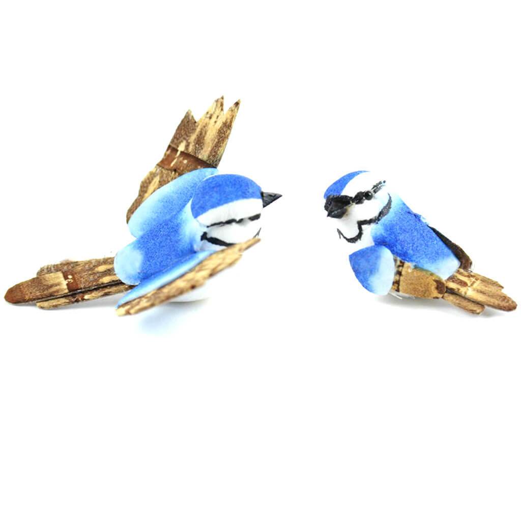 Mini Natural Blue Jay 1.5in