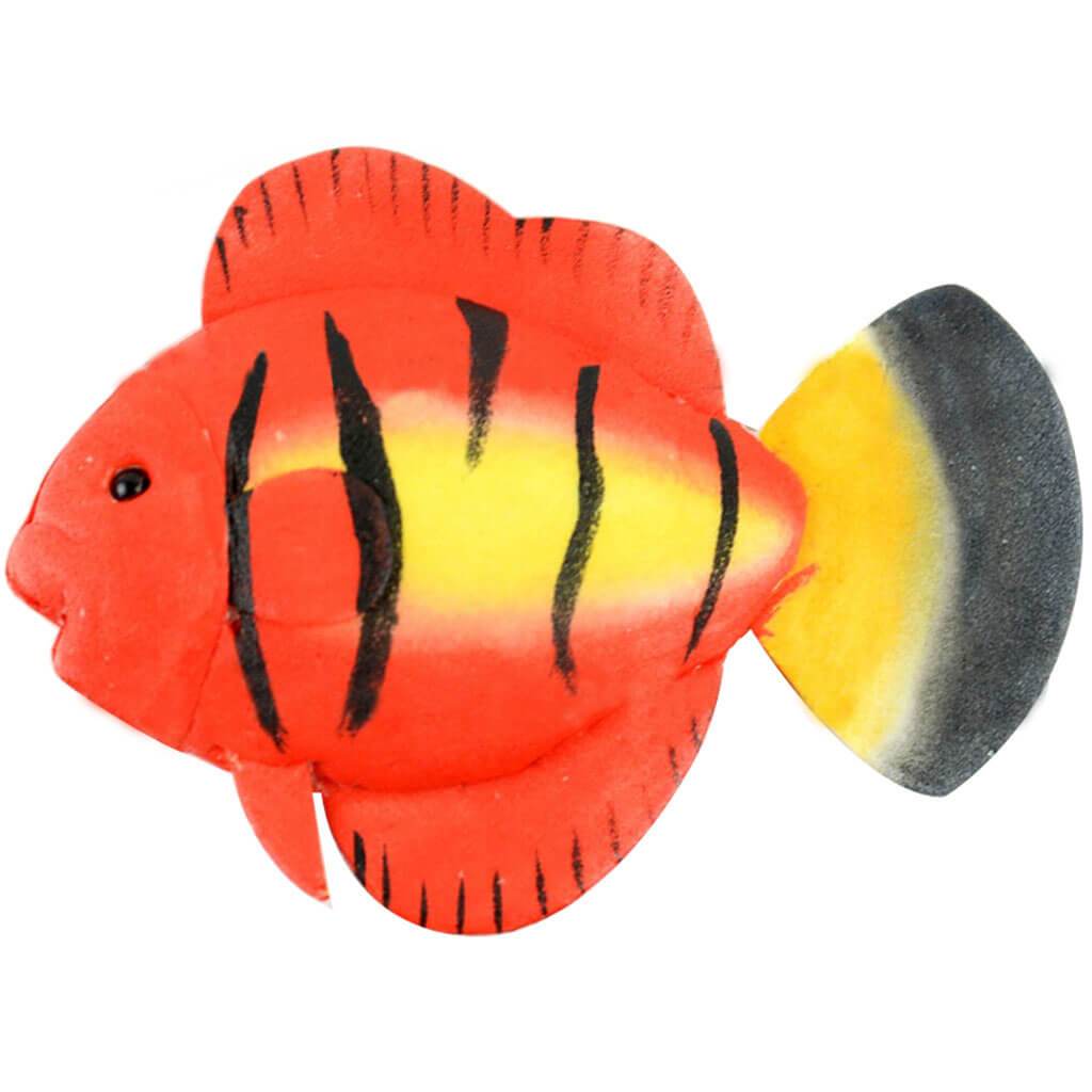 Flame Angel Fish 4in