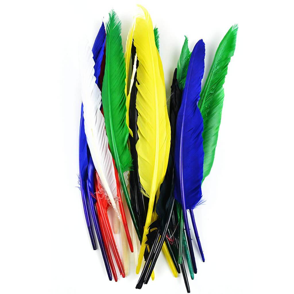 Indian Feather Goose Quills 10-12in Assorted