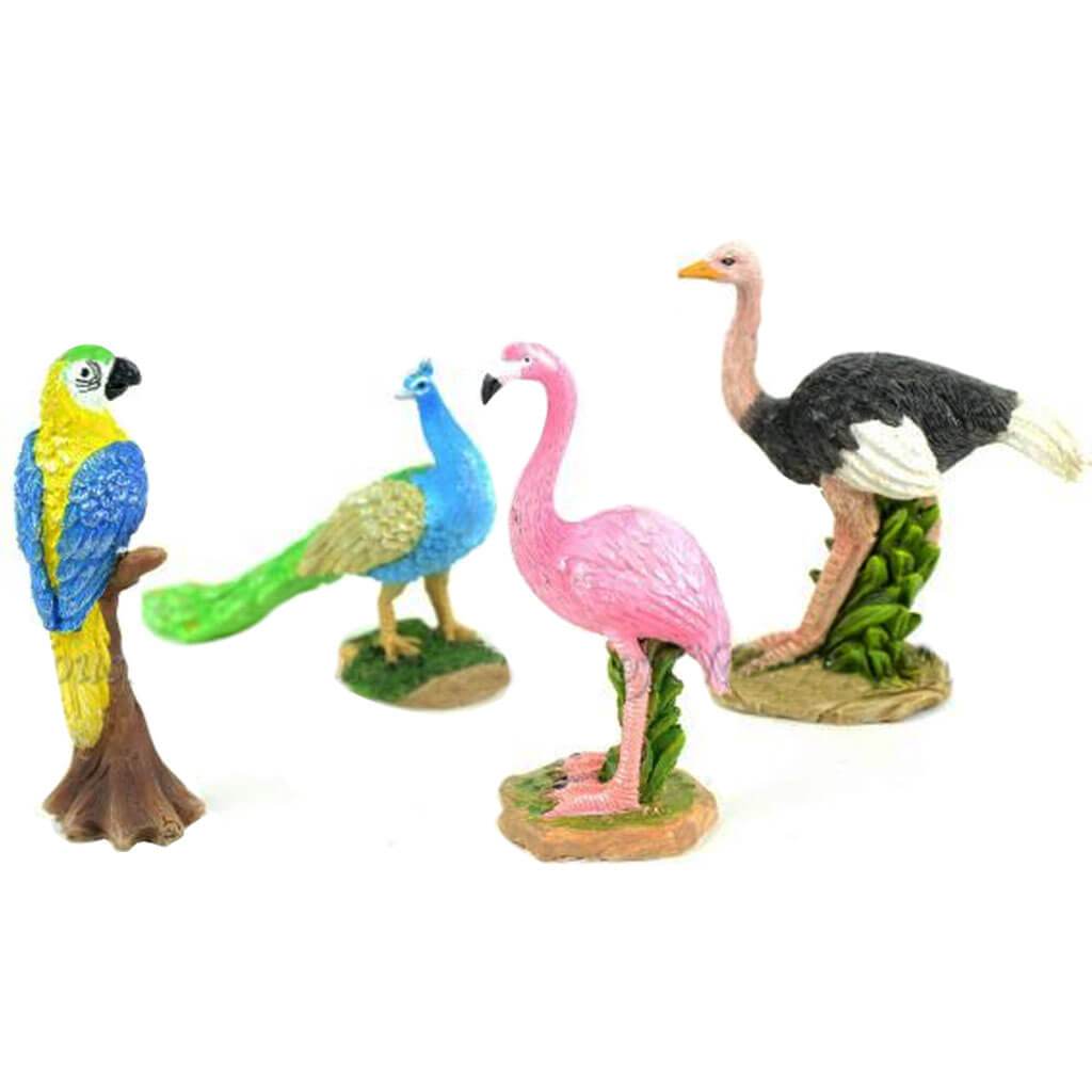Zoo Bird Assortment