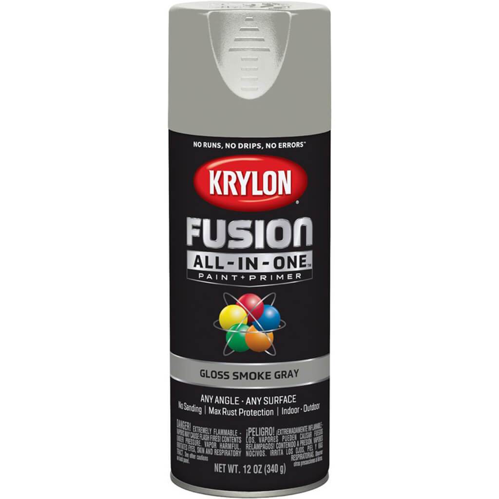 Fusion Spray Paint Gloss 12oz