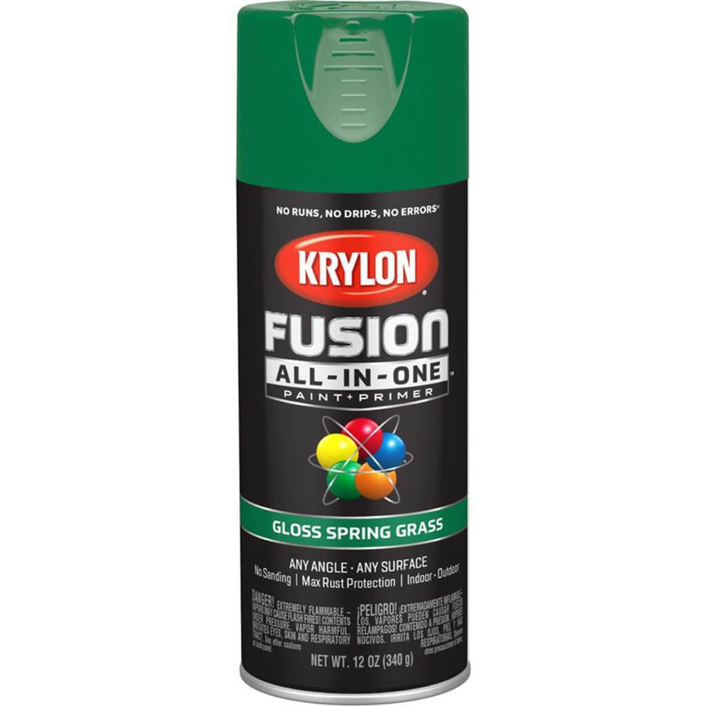 Fusion Spray Paint Gloss 12oz