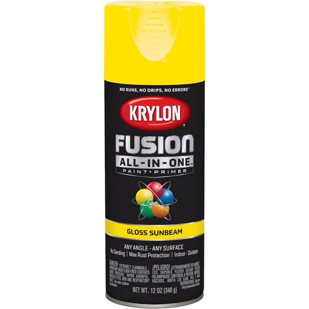 Fusion Spray Paint Gloss 12oz